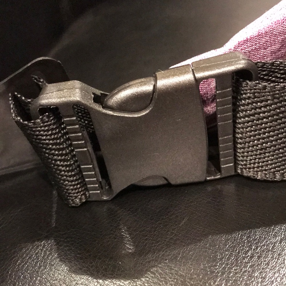 Fanny Pack - Picture 4 of 4